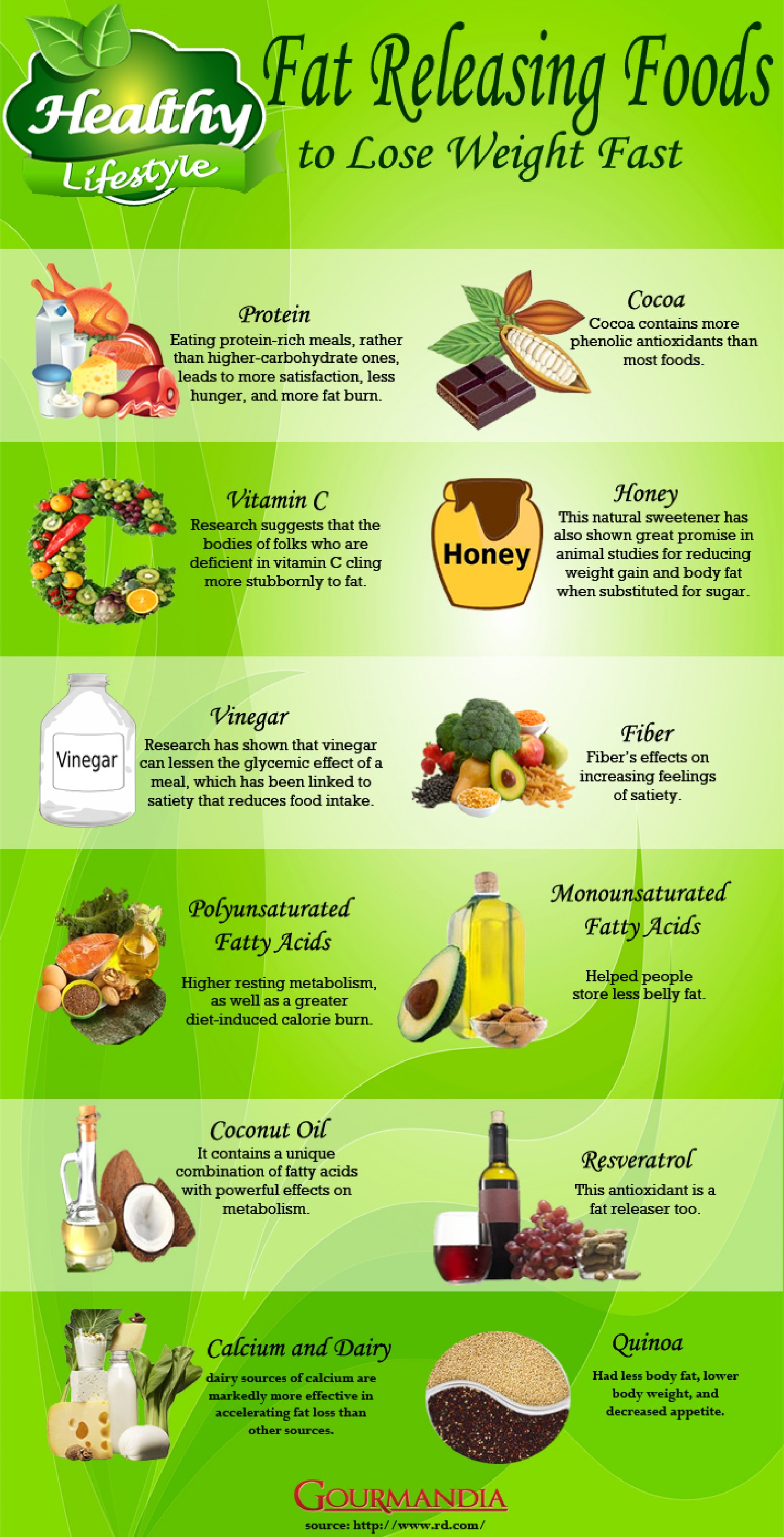 Foods To Lose Weight Fast Infographic