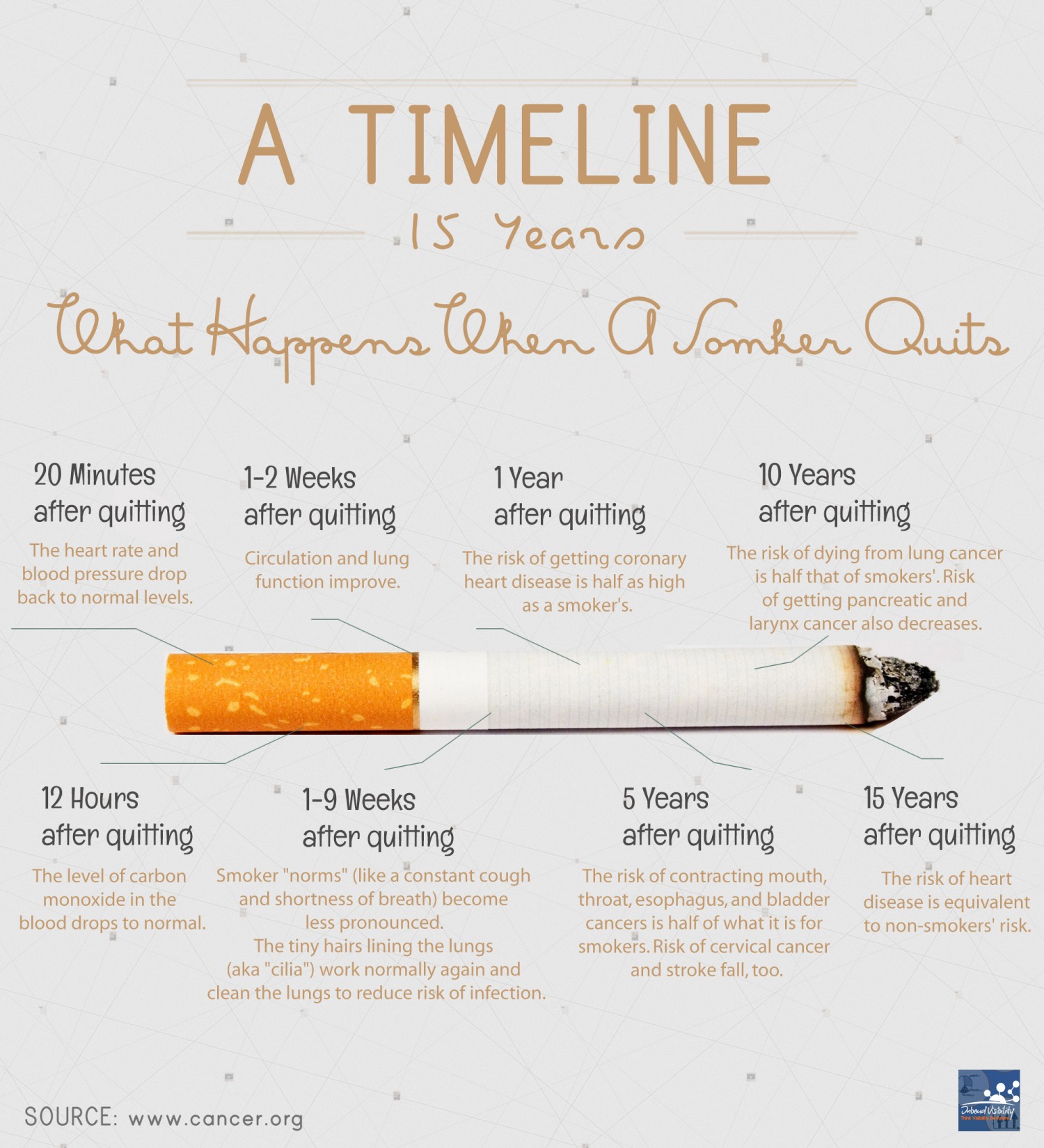 What Happens When You Stop Smoking Infographic