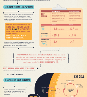 Carbs Are Killing You Find Out Why Infographic