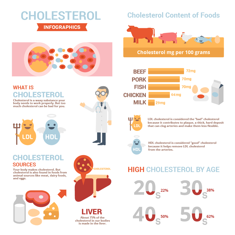 Is Cholesterol Good Or Bad For Your Health Infographic 4436