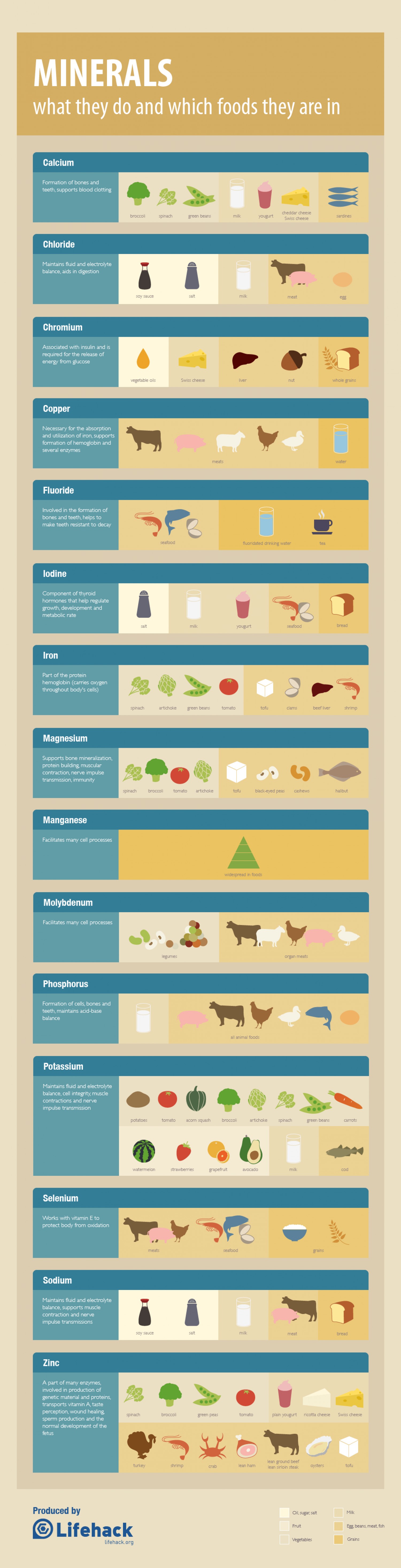 How Many Minerals Does The Human Body Need