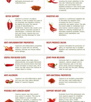 The Hot Benefits of Cayenne Pepper Infographic