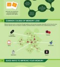 All you need to know how memory works infographic