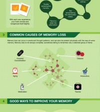 All you need to know how memory works infographic