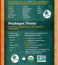 Avoid GMO Foods At The Grocery Store Infographic