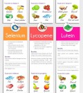 The Ultimate Guide to Anti-oxidants Infographic