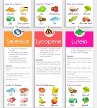 The Ultimate Guide to Anti-oxidants Infographic