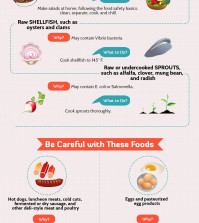 Foods that you should avoid while you are pregnant infographics