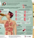 How the body reacts to alcoholic beverages infographic