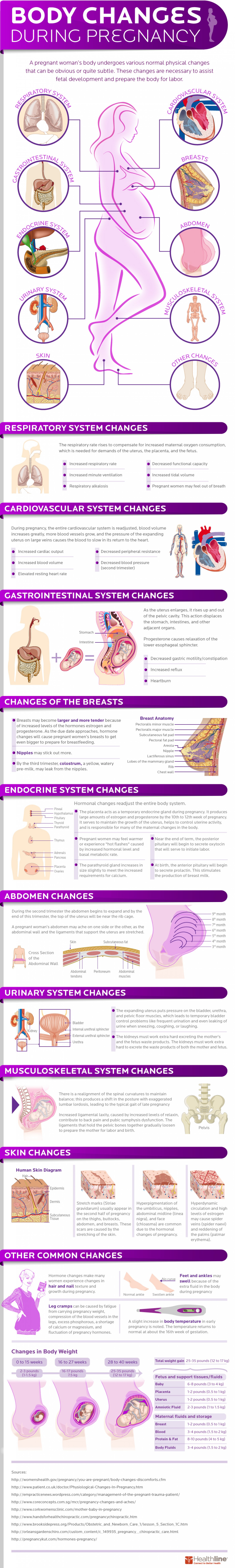 Changes that a womans’ body goes through when she is pregnant infographic