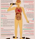 The dangers of drinking Soft Drinks and other sodas infographic