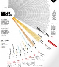 The dosages of everyday substances that are proven to be lethal to the human body infographic