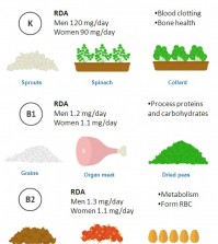 The necessary vitamins and the foods where you can get them infographic.
