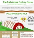 factory farm dangers