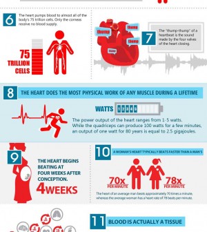 11 Things You Probably Didn't Know About Your Heart Infographic