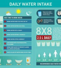 16 Facts about Daily Water Intake Infographic