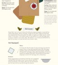 Tea Selection and Brewing Guide Infographic