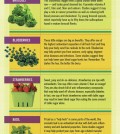 8 True Facts About Fruits And Veggies Infographic