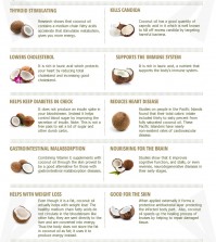 10 Virgin Coconut Oil Benefits Infographic