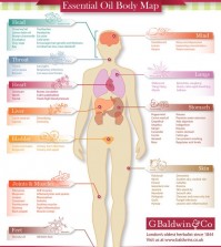 11 Essential Oil Benefits For Your Health Infographic