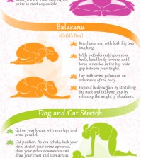 5 Yoga Poses For Pregnant Women Infographic
