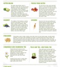 9 Healing Herbs For Diabetes Infographic