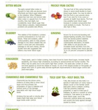 9 Healing Herbs For Diabetes Infographic