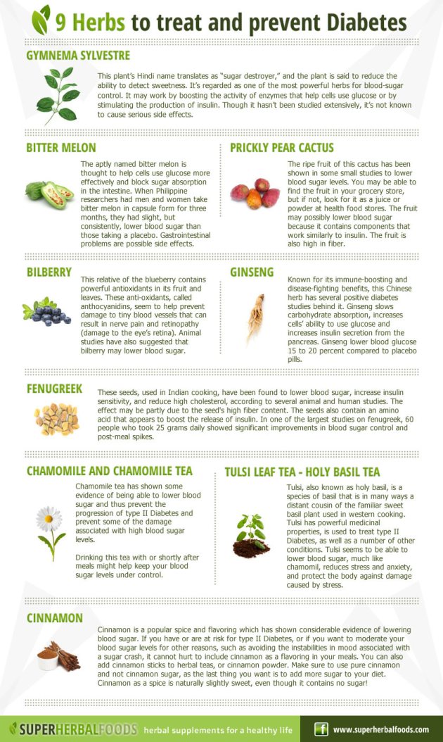 9 Healing Herbs For Diabetes Infographic
