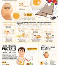 Healthy Breakfast Infographic