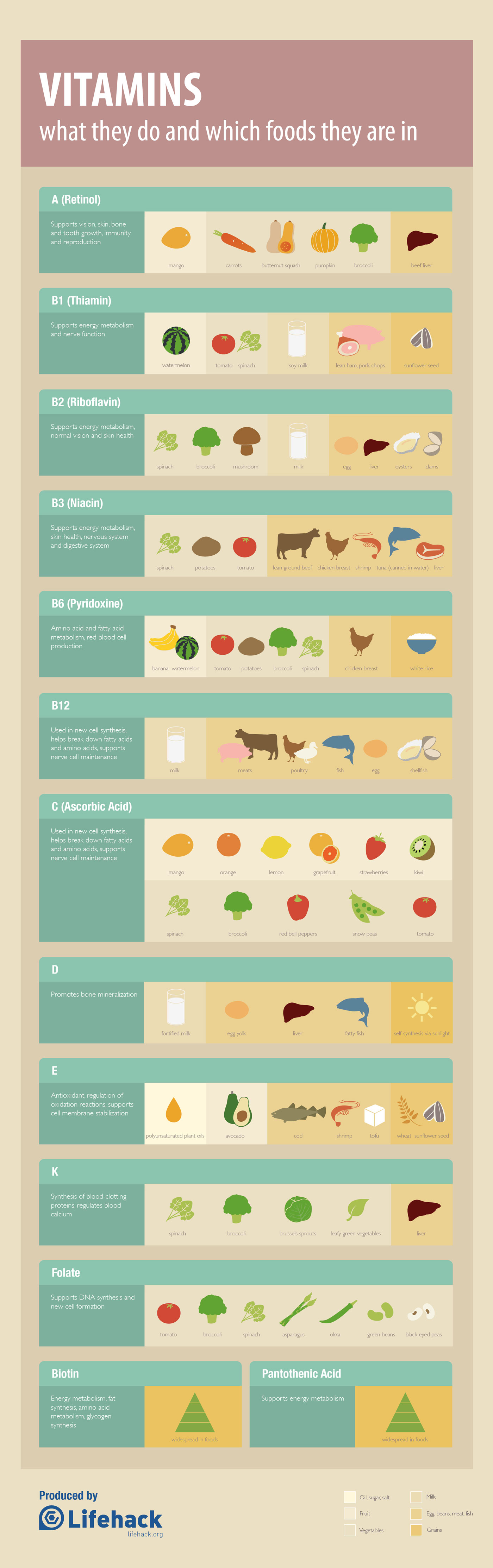 12 Vitamins' Sources Infographic