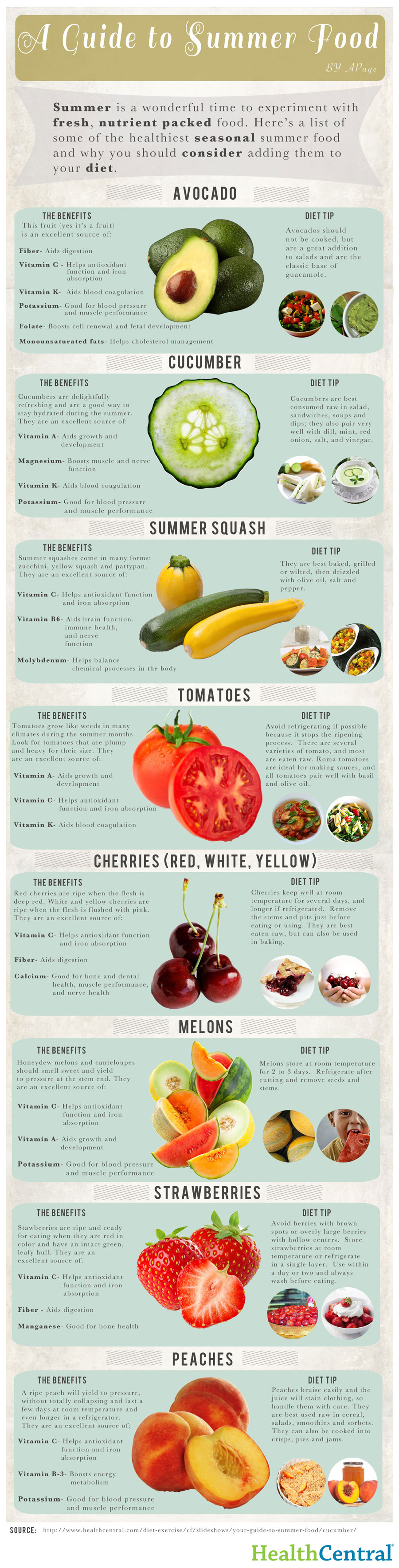 8 Summer Food Infographic