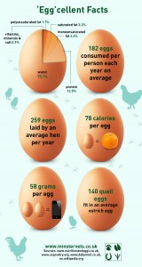 True Facts About Eggs Infographic