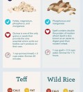 15 Healthy Grains Infographic