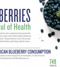 9 Blueberry Benefits Infographic