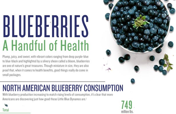 9 Blueberry Benefits Infographic