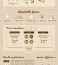 All Benefits Of Garlic Infographic