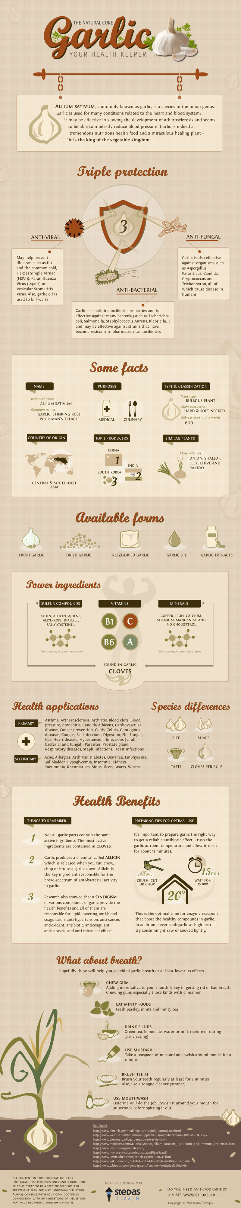 All Benefits Of Garlic Infographic