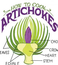 Tips To Cook Artichokes Infographic