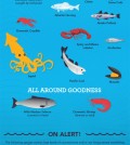 Tips How To Choose Seafoods Infographic