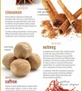 10 Indian Spices Infographic