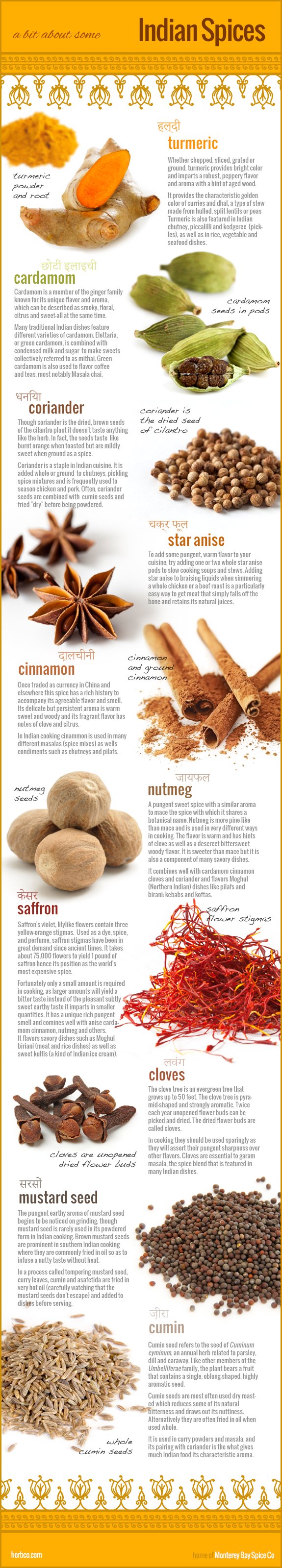 10-indian-spices-infographic