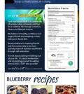 10 Blueberry Benefits Infographic