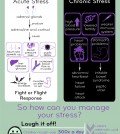 How To Fight With Stress Infographic