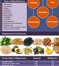 Facts About Magnesium Deficiency Infographic