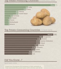 True Facts About Potato Infographic