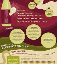 What Is Wine? Infographic