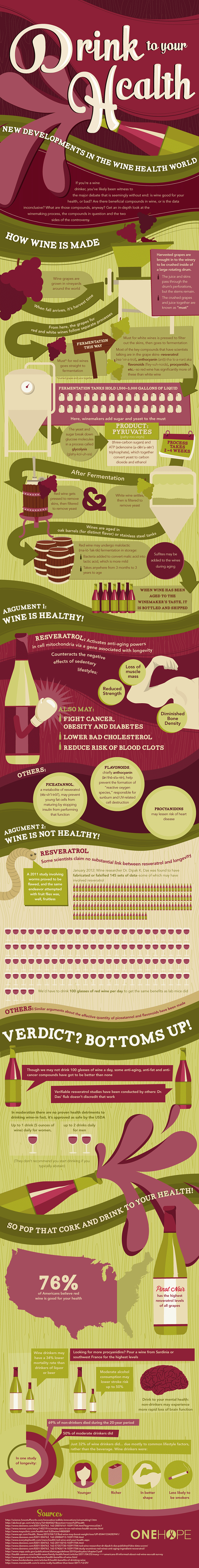 What Is Wine? Infographic