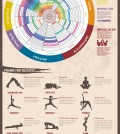 Yoga For Beginners Infographic