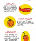 8 Types Of Chili Peppers Infographic