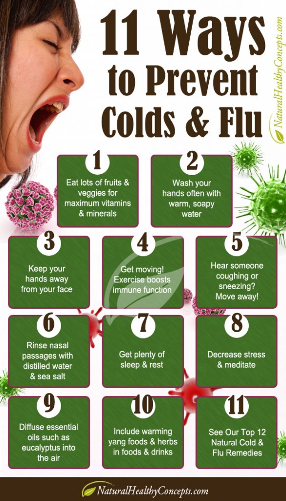 What Helps Prevent Cold And Flu